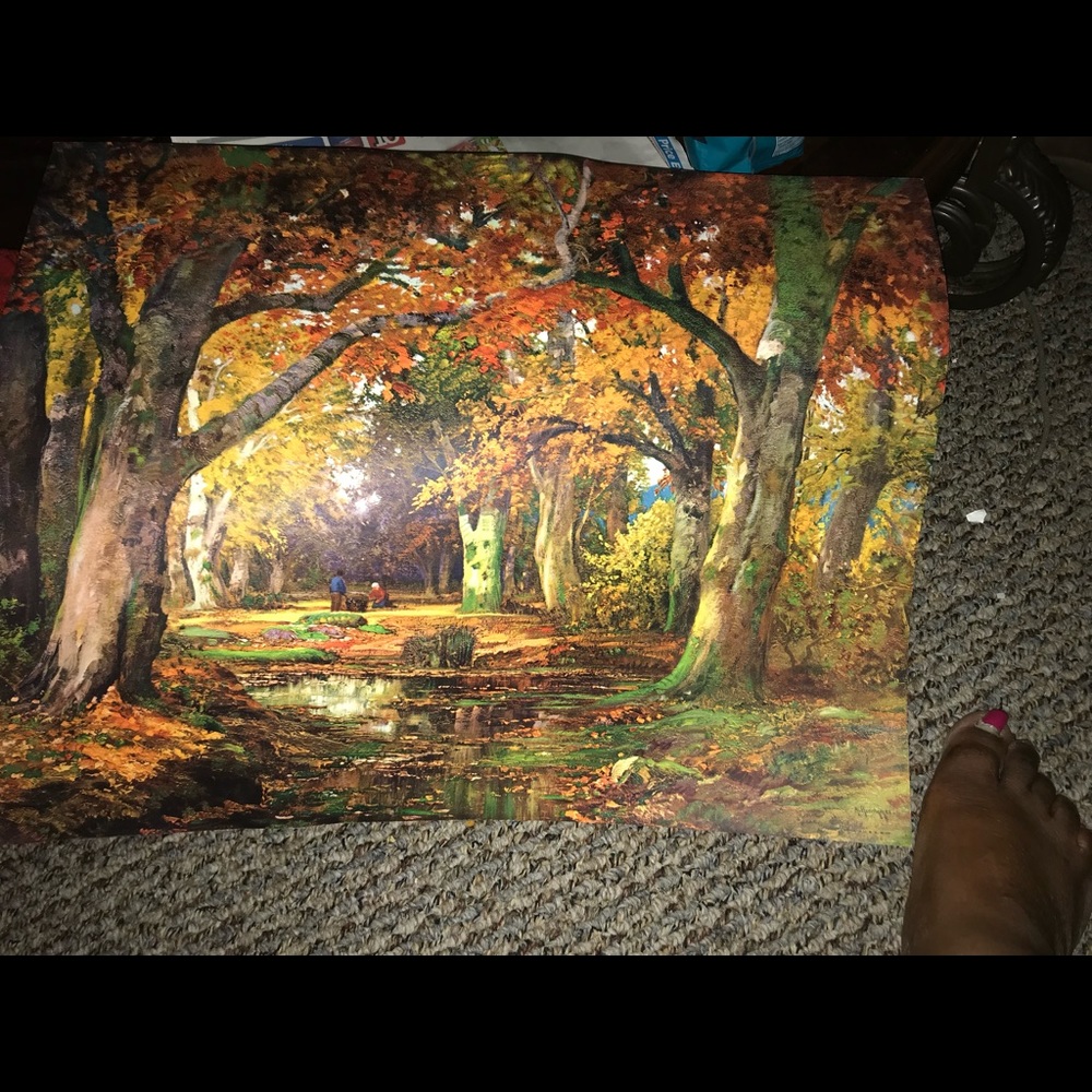 Beautiful pictures